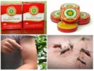 Balsamstern von Mücken und ihren Stichen