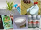 Productos químicos para el control de plagas