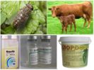 Protection des animaux contre les piqûres d'insectes hématophages