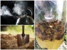 Ways to deal with earthen bees