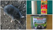 Chemicals for moles
