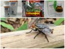 Chemicals for gadfly and horseflies