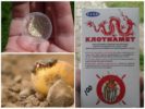 Klotiamet insecticide from Colorado potato beetle