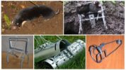 Rat traps and mole traps