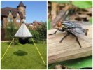 Domáce pasce na gadflies a horseflies