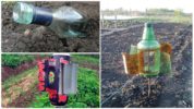 Acoustic devices for repelling moles from the garden