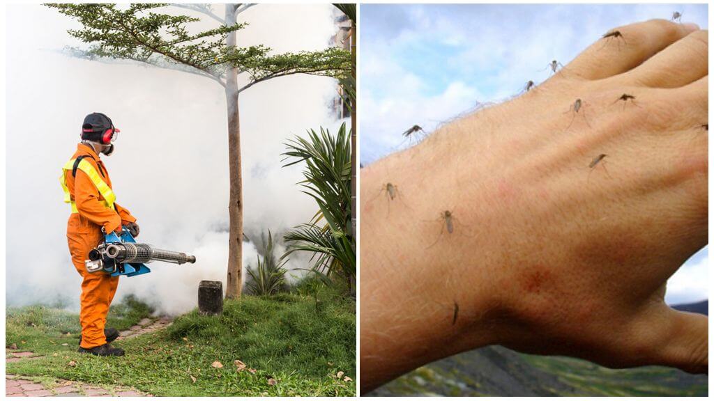 Moyens de traitement du site contre les moustiques et les tiques