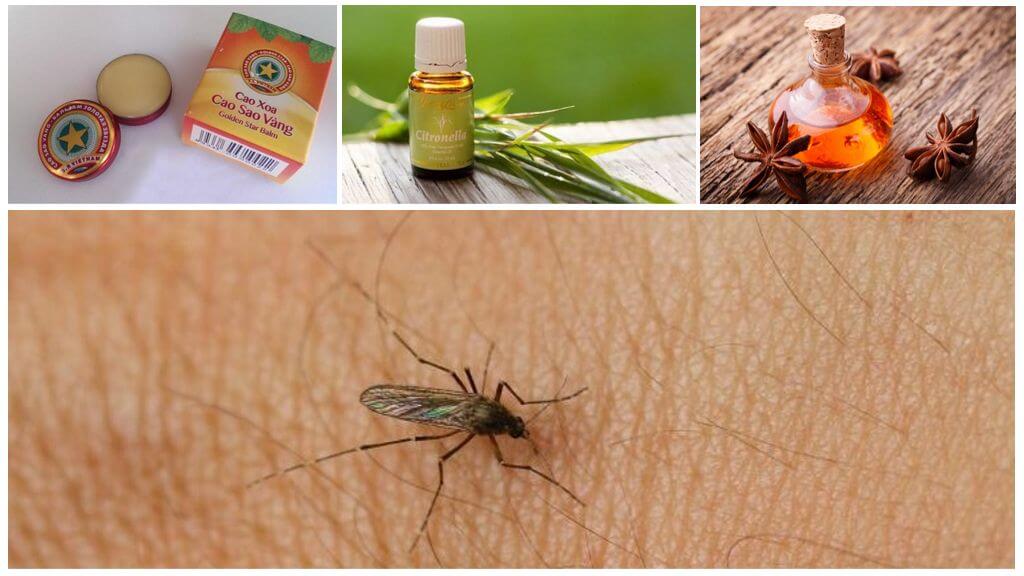 Aperçu des remèdes populaires contre les moustiques et les moucherons dans la nature