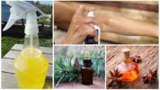 Aroma oils from mosquitoes