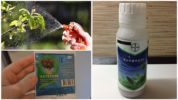 Chemicals Against Caterpillars