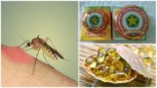 Metody kontroly komárů