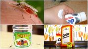 Folk remedies for mosquito bites
