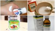 Remèdes populaires contre les piqûres de moustiques