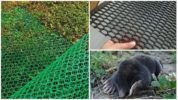 Mole protection nets