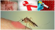 AIDS a komáre