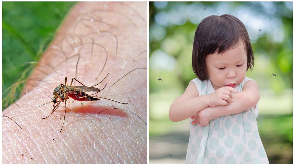 Колико дана пролази ујед комараца?