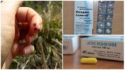 Doxycycline pour la prévention des piqûres de tiques