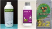 Spider mite insecticides