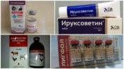Drugs for the treatment of diseases caused by ticks