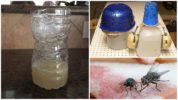 Homemade Fly Traps
