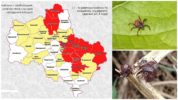 Dangerous areas by ticks on a map of the Moscow region