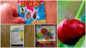 Chemicals for Cherry Flies