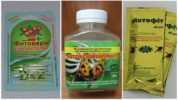 Biological products for combating spider mites