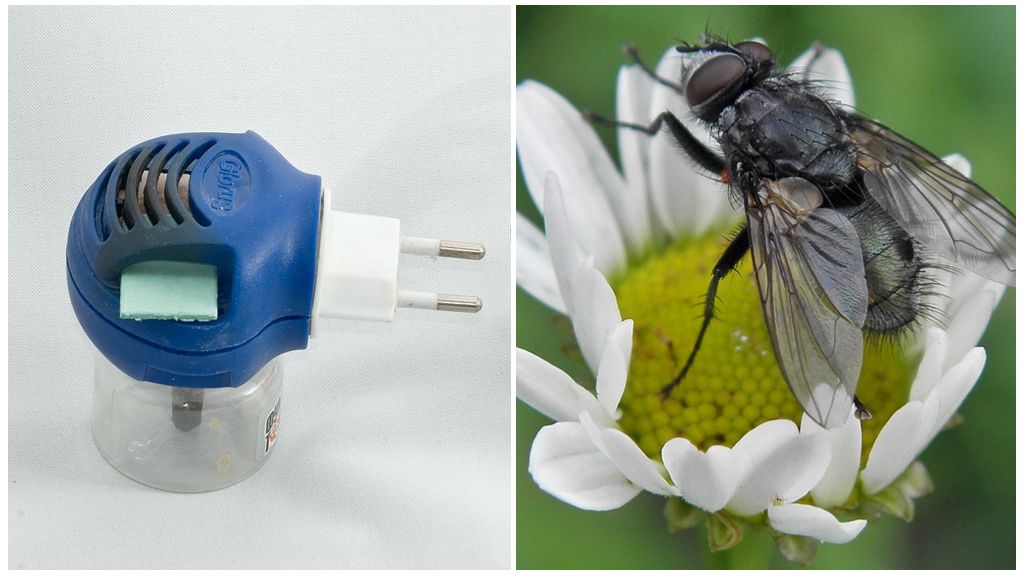Begasungsgeräte von Fliegen und Mücken bis zum Auslass