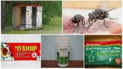 Remedies for flies in the toilet
