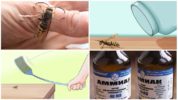 Wespenbekämpfungsmethoden