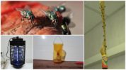 Mechanical insect control methods