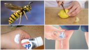 Folk remedies for insect bites