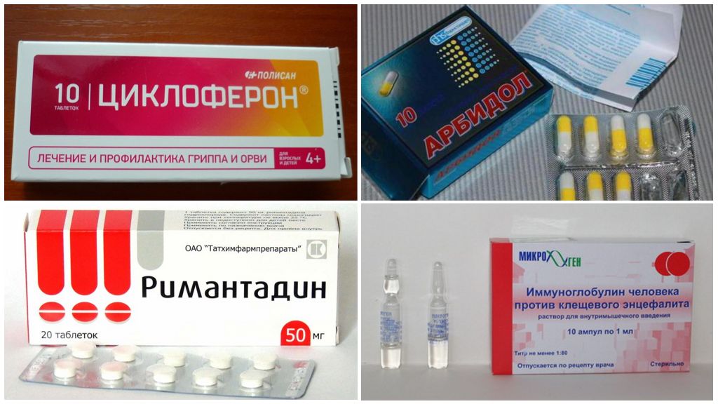 Médicaments prescrits après une piqûre de tique