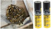 Mosquitall aerosol from wasps and wasp nests