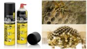 Muỗi aerosol từ ong bắp cày và tổ ong