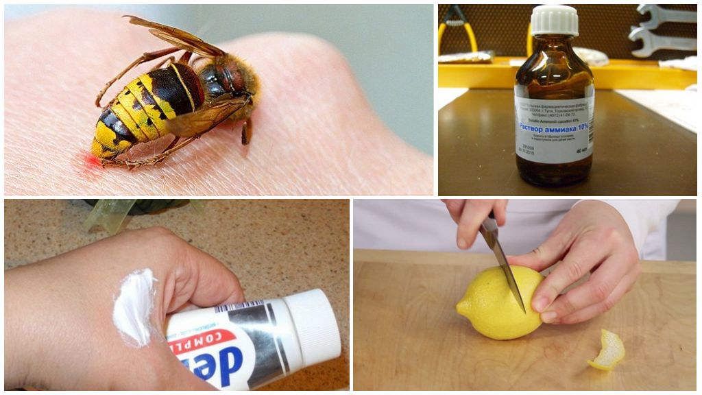 How and how to remove itching from a wasp sting at home