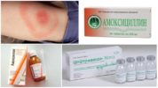 Antibiotics for Borreliosis