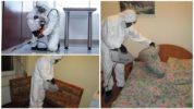 Pest disinfection indoors