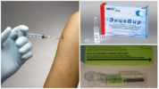Vaccin contre l'encéphalite