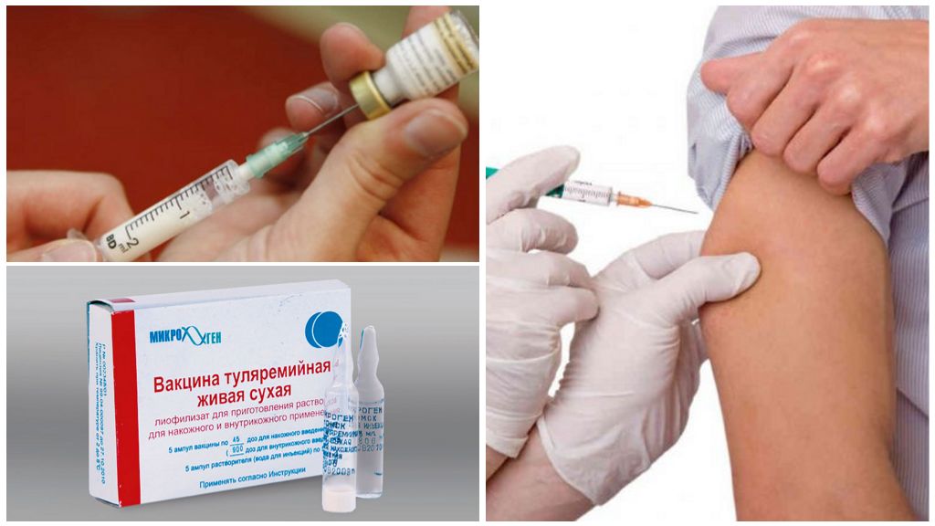 Vaccination contre la tularémie