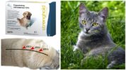 Stronghold drops for cats and dogs