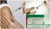 Impfung gegen durch Zecken übertragene Enzephalitis