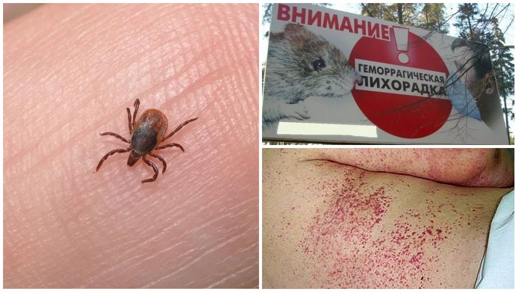 What types of ticks are there in Crimea