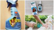 Sprays anti-tiques pour chiens