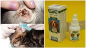 Bars ear drops for cats and dogs