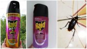 Aerosols Raid against flying and crawling insects (Lavender, Spring Meadow)