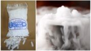 Dry ice in the fight against cockroaches