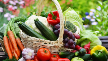 Wat te planten op de tafel van vruchtwisseling van groenten. Waardevol spiekbriefje van de slechtste en beste voorgangers